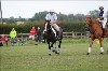 UKPA NC SAT_2944
